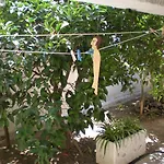 Hotel de apartamente Manolis' House 3*