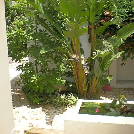 Lejlighedshotel Manolis' House Skiathos by