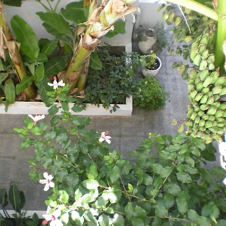 Manoli's House Ξενοδοχείο με διαμερίσματα 2*