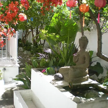 Manoli's House