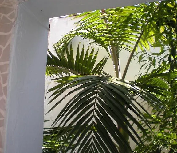 Apartahotel Manolis' House