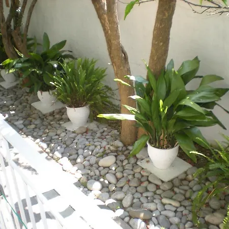 Lägenhetshotell Manolis' House Skiathos stad