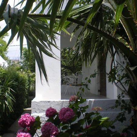 Manolis' House Lägenhetshotell Skiathos stad