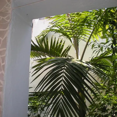Lägenhetshotell Manolis' House