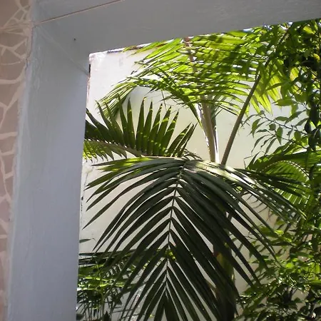 Aparthotel Manolis' House