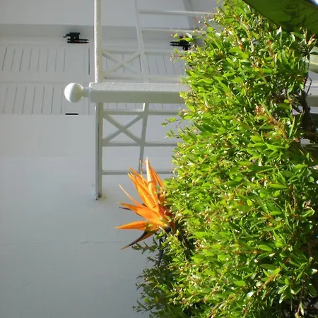 Manolis' House