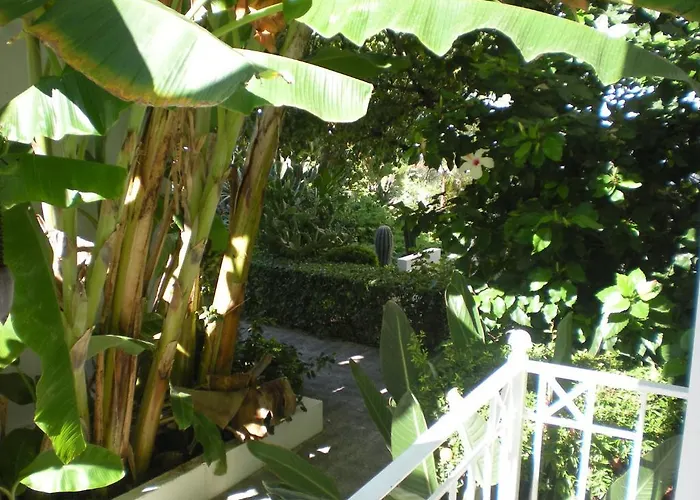 Manolis' House 3* مدينة سكياثوس