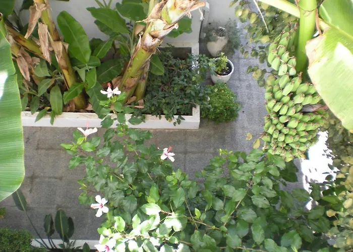 Manolis' House شقة فندقية 3*