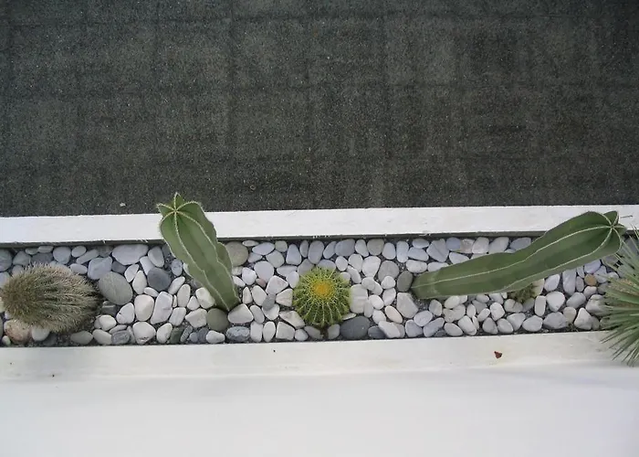 شقة فندقية Manolis' House